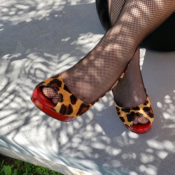 Cats n' Kittens - Picture 2 of 5